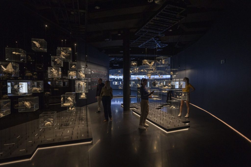 Hipermirador Barcelona: <span>Una experiència immersiva per veure i sentir Barcelona</span>