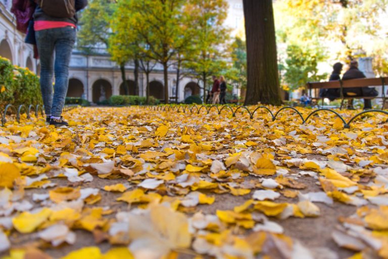 Barcelona en otoño